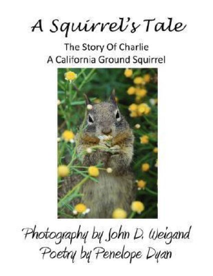 A Squirrel's Tale