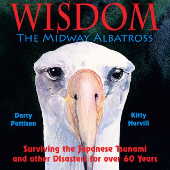 The Midway Albatross Wisdom