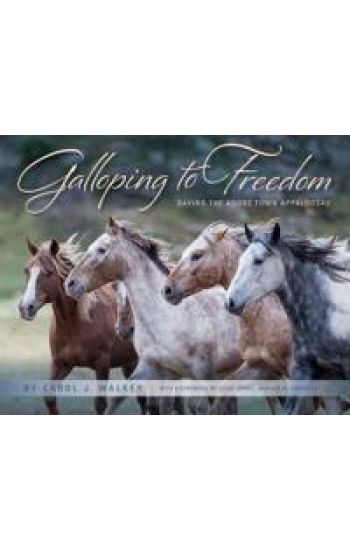 Galloping to Freedom
