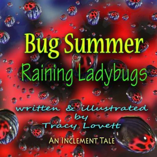 Bug Summer--Raining Ladybugs