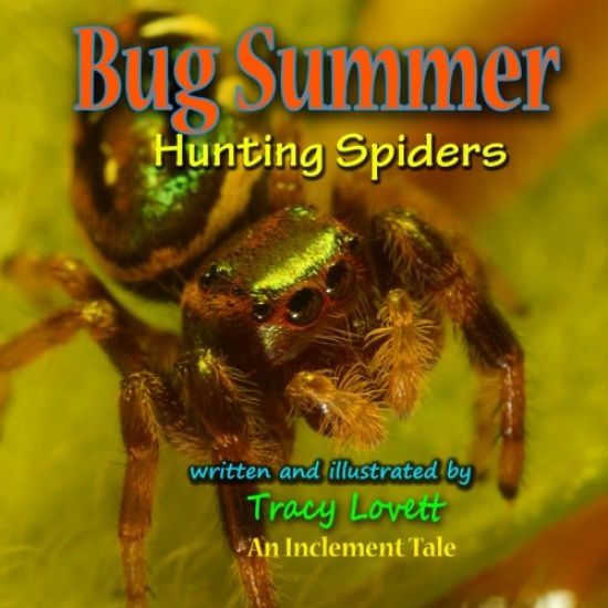 Bug Summer--Hunting Spiders