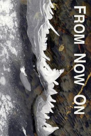 From Now On: Easing and Transforming Lives Interrupted by Illness or Injury: an Introduction to the Philosophy, Practices, and Proc