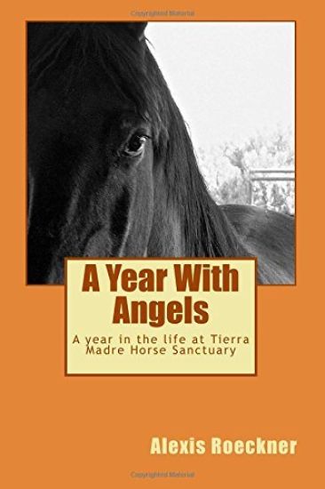 A Year with Angels: A Year in the Life at Tierra Madre Horse Sanctuary