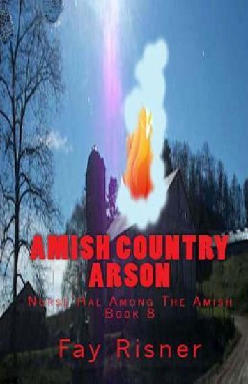 Amish Country Arson: Nurse Hal Among the Amish
