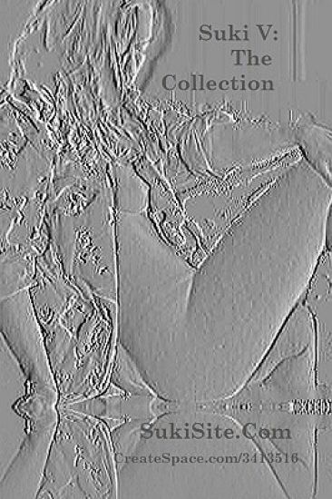 Suki V: The Collection: All Four Books of the Suki Novel Series