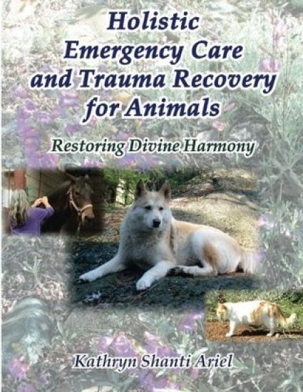Holistic Emergency Care and Trauma Recovery for Animals: Restoring Divine Harmony