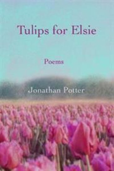 Tulips for Elsie