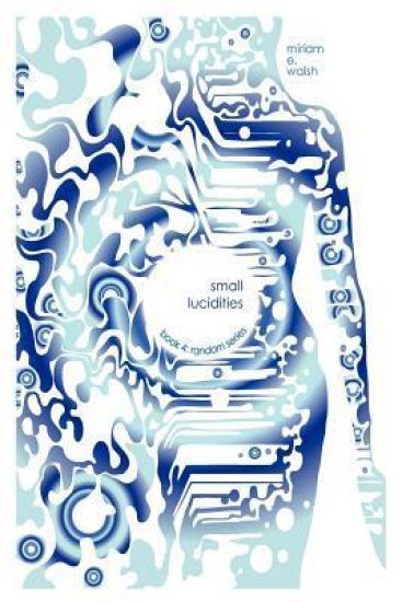 Small Lucidities: Book 4: Random Series