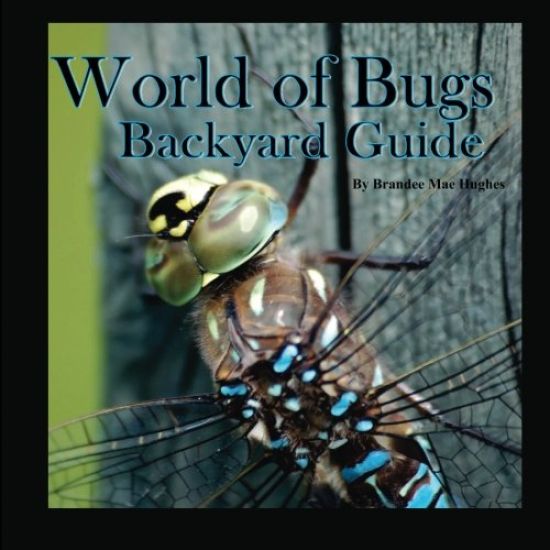 World of Bugs 2: Backyard Guide