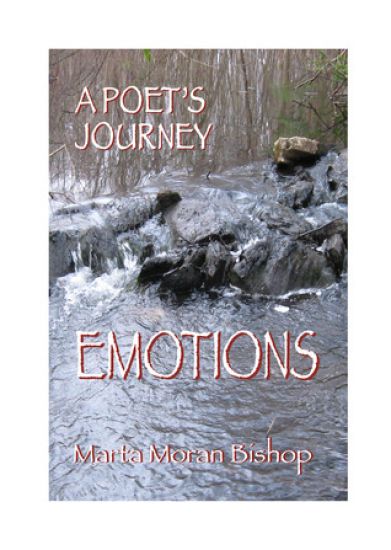 A Poet's Journey