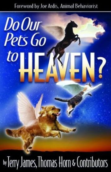 Do Our Pets Go to Heaven?