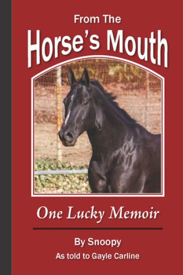 From the Horse's Mouth