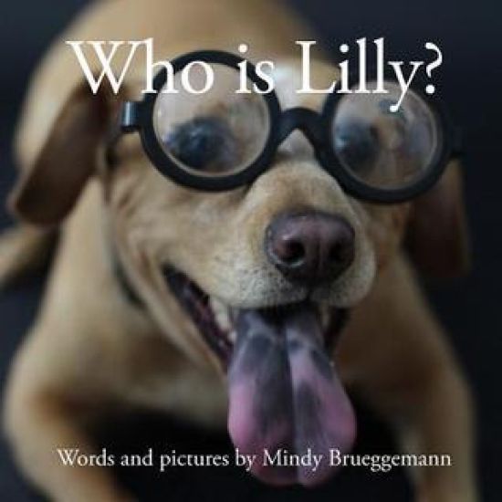 Who is Lilly?