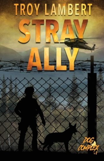 Stray Ally