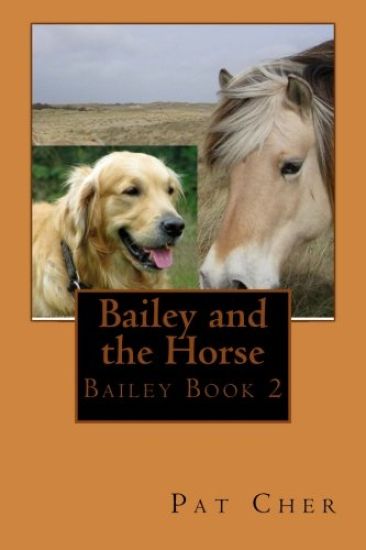Bailey and the Horse