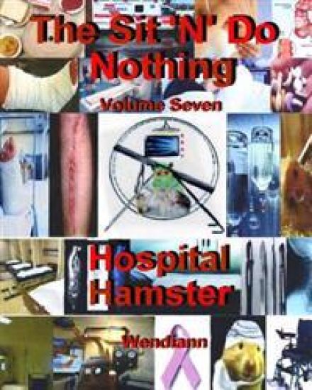 The Hospital Hamster Workbook-Volume Seven: The Hospital-Recuperating Hamster Workbook