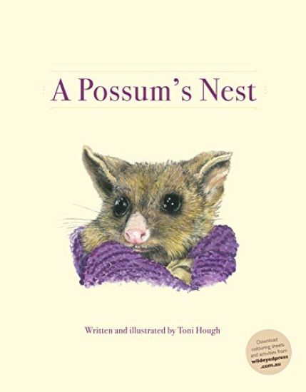 A Possum's Nest