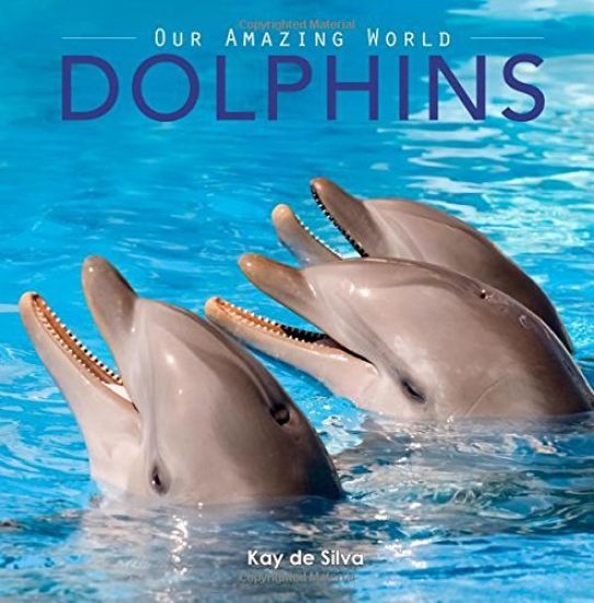 Dolphins: Amazing Pictures & Fun Facts on Animals in Nature