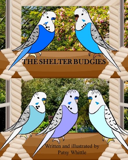 The Shelter Budgies