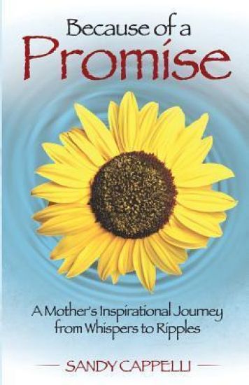 Because of a Promise: A Mother's Spiritual Journey from Whispers to Ripples