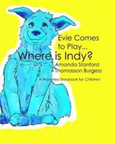Evie Comes To Play: A Waverley Story Book for Children