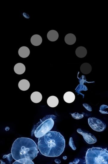 Freeze
