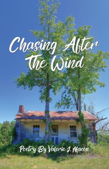 Chasing After the Wind