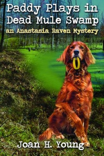 Paddy Plays in Dead Mule Swamp