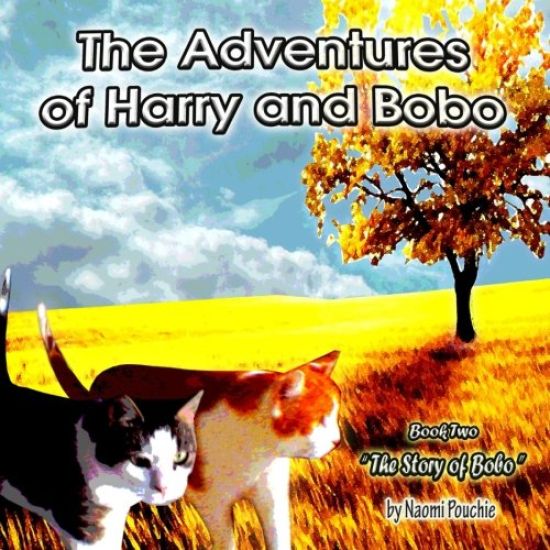 The Story of Bobo