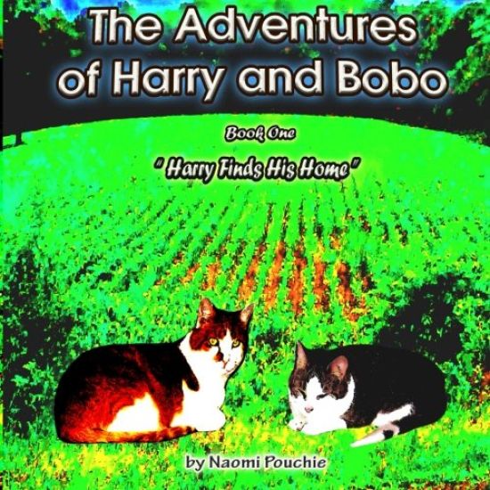 Harry Finds His Home