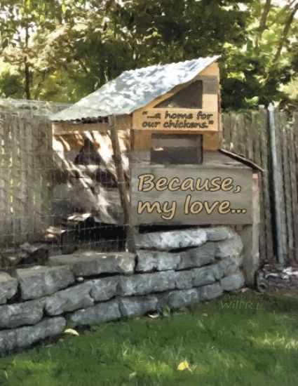 Because, my love...: ...a home for our chickens.