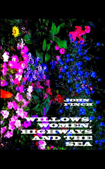 Willows, Women, Highways and the Sea