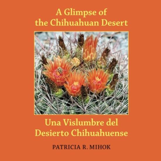 A Glimpse of the Chihuahuan Desert: Una Vislumbre del Desierto Chihuahuense