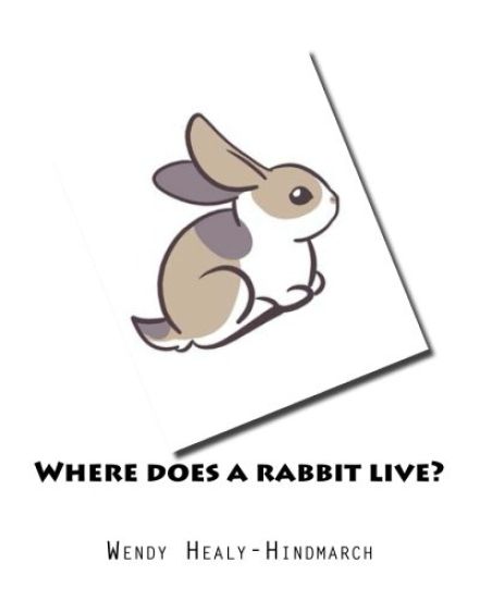 Where does a rabbit live?