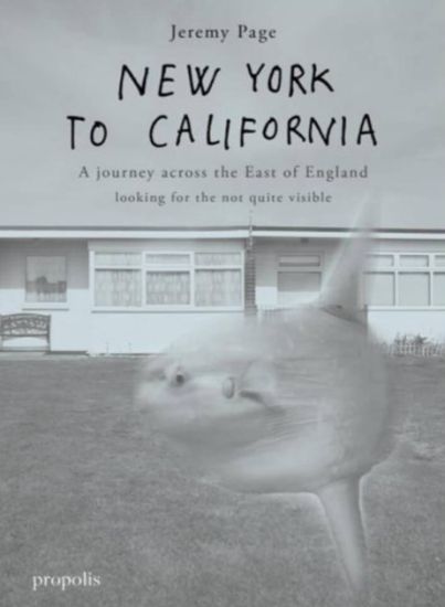 New York To California