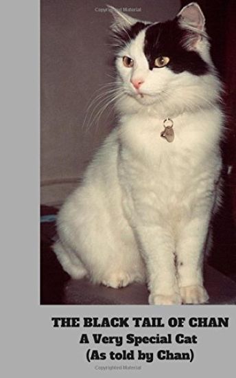 The Black Tail of Chan: A Very Special Cat