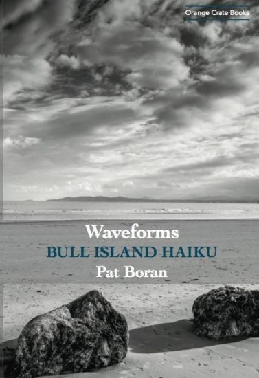 Waveforms: Bull Island Haiku
