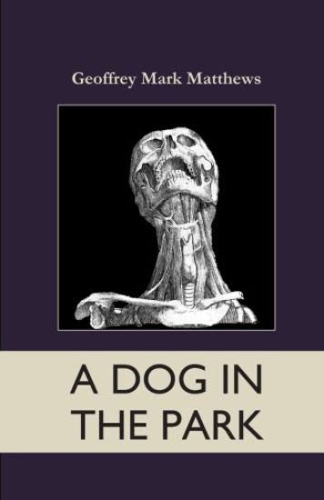 A Dog In The Park