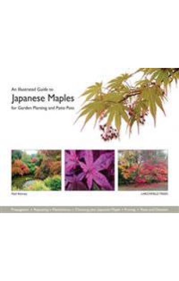 An Illustrated Guide to Japanese Maples for Garden Planting and Patio Pots