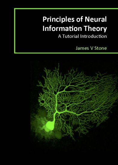Principles of Neural Information Theory