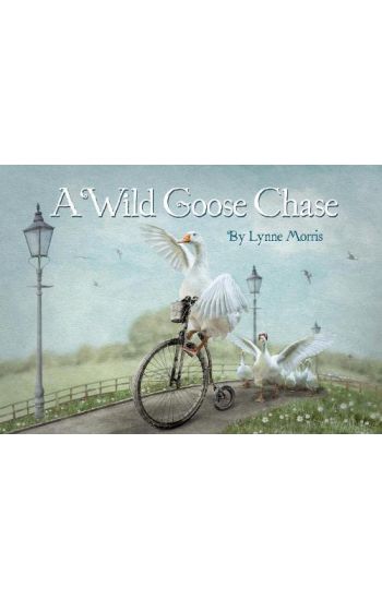 A Wild Goose Chase