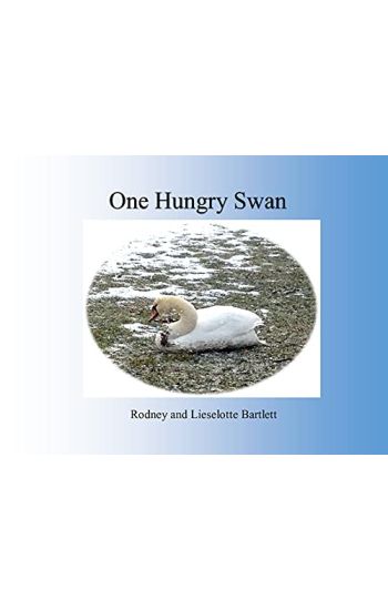 One Hungry Swan