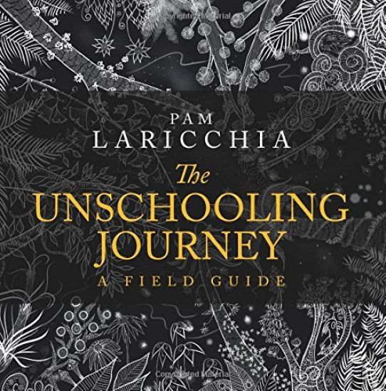 The Unschooling Journey