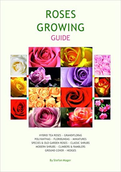 Rose Growing Guide