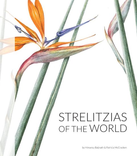 Strelitzias of the world