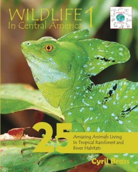 Wildlife In Central America 1