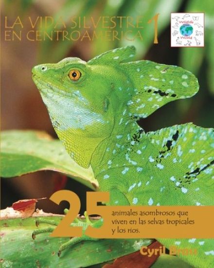 La vida silvestre en Centroamerica 1