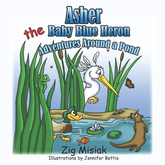 Asher the Baby Blue Heron