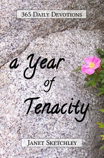 A Year of Tenacity