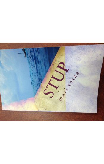 StUP: Saving the Union's Parrot